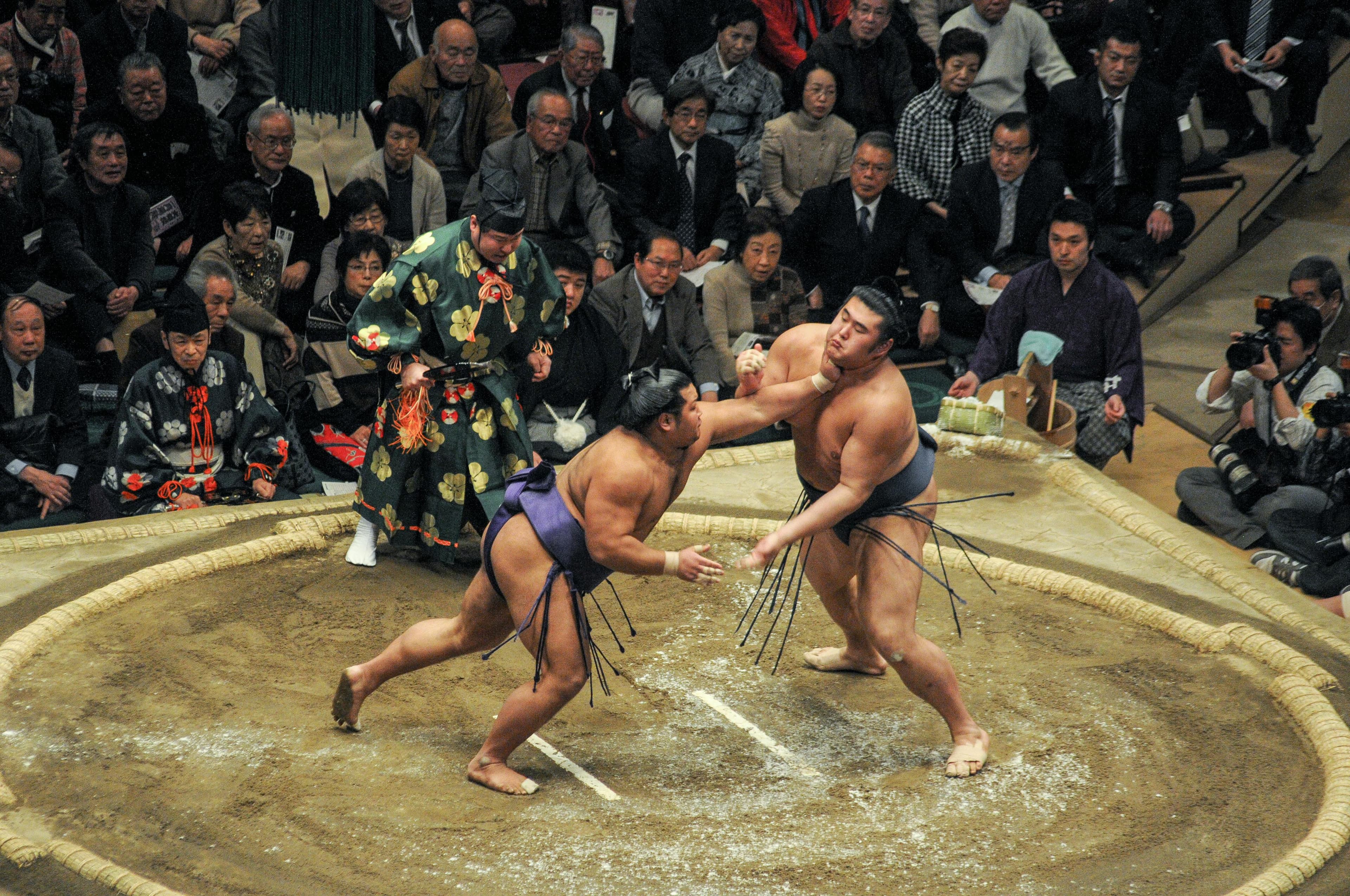 Local Sumo Experience