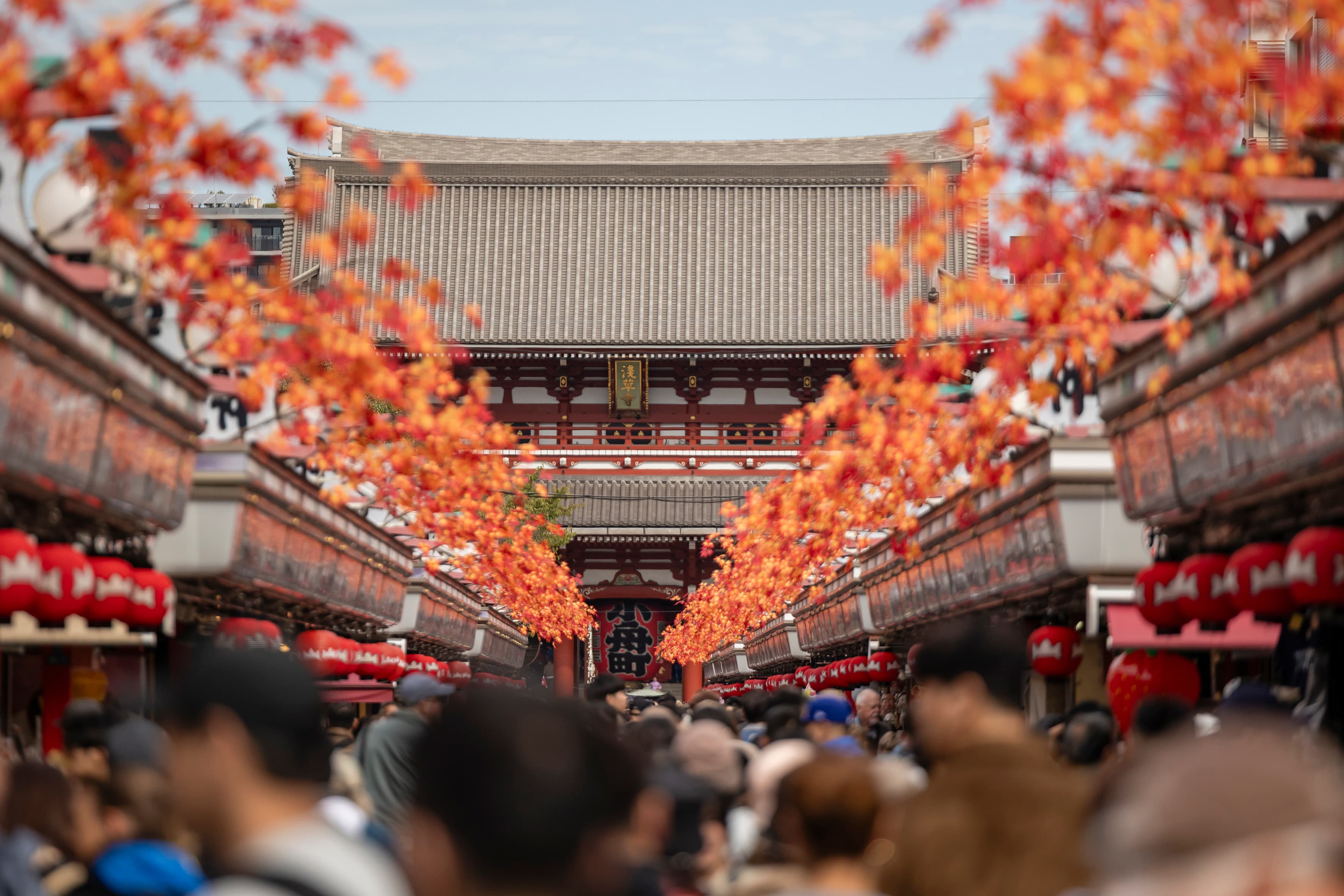 Bespoke group travel and custom private journeys in Japan