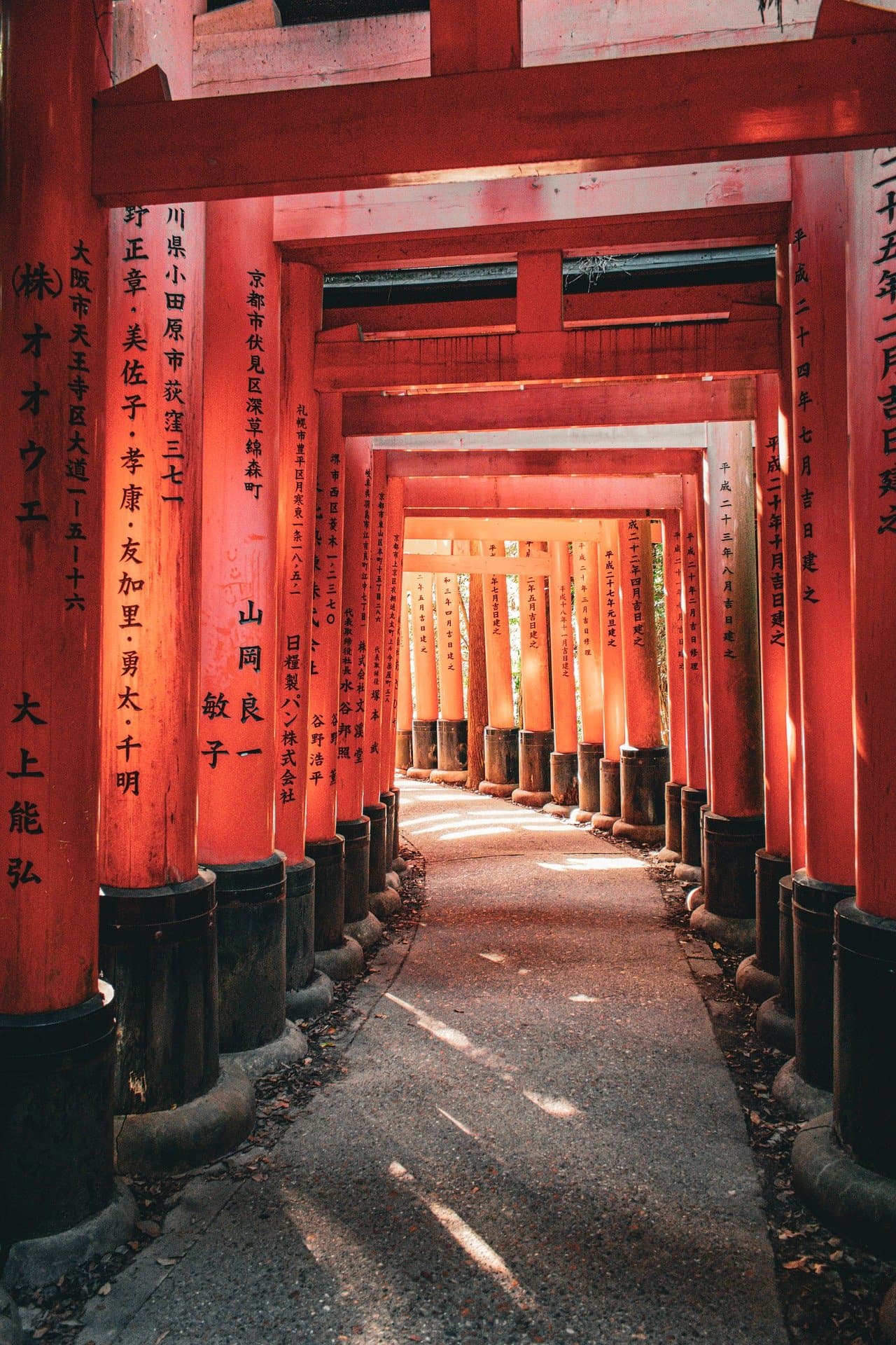 Kyoto temple surrounded by autumn foliage